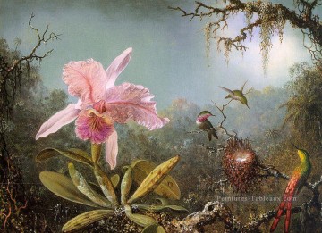 Cattelya Orchidée et trois colibris brésiliens romantique fleur Martin Johnson Heade Peinture à l'huile